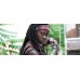 KATANA DE MICHONNE - THE WALKING DEAD