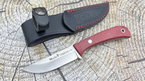 CUCHILLO TERRIER-9Y