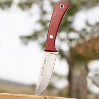 CUCHILLO TERRIER-9Y